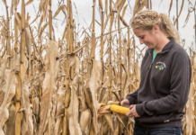 Bayer Strengthens Combined Seed and Crop Protection Portfolio, Sets Stage for Blockbuster Launches