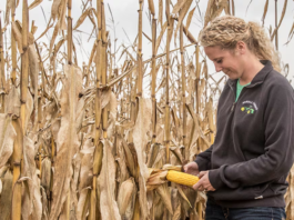 Bayer Strengthens Combined Seed and Crop Protection Portfolio, Sets Stage for Blockbuster Launches