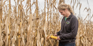 Bayer Strengthens Combined Seed and Crop Protection Portfolio, Sets Stage for Blockbuster Launches