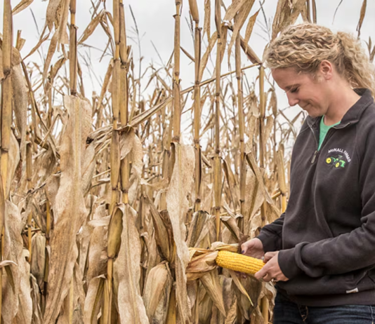 Bayer Strengthens Combined Seed and Crop Protection Portfolio, Sets Stage for Blockbuster Launches