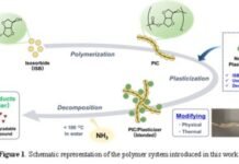 New study develops flexible plastic that can be converted into fertilizer after use