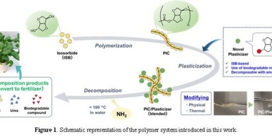 New study develops flexible plastic that can be converted into fertilizer after use
