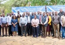 Kenya, Tanzania deepen cross-border cooperation on animal health and livestock trade