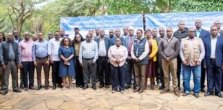 Kenya, Tanzania deepen cross-border cooperation on animal health and livestock trade