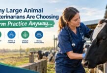 Why Large Animal Veterinarians Are Choosing Farm Practice Anyway