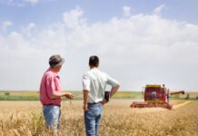 EU and UK risk falling behind global agricultural competitors, threatening strategic autonomy