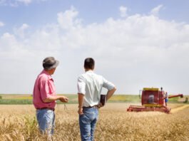 EU and UK risk falling behind global agricultural competitors, threatening strategic autonomy