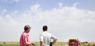 EU and UK risk falling behind global agricultural competitors, threatening strategic autonomy