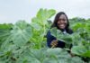 Ghanaian Scientist Pamela Afokpe Wins 2026 Borlaug Field Award for Championing Africa’s Indigenous Crops