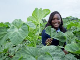 Ghanaian Scientist Pamela Afokpe Wins 2026 Borlaug Field Award for Championing Africa’s Indigenous Crops