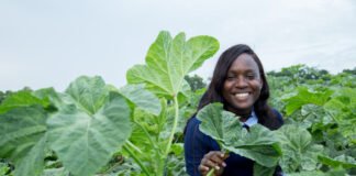 Ghanaian Scientist Pamela Afokpe Wins 2026 Borlaug Field Award for Championing Africa’s Indigenous Crops