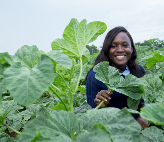 Ghanaian Scientist Pamela Afokpe Wins 2026 Borlaug Field Award for Championing Africa’s Indigenous Crops