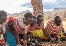 Two Kenyan Enterprises Selected for Pan-African Accelerator Backing Businesses That Grow by Protecting Nature