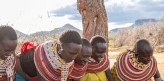 Two Kenyan Enterprises Selected for Pan-African Accelerator Backing Businesses That Grow by Protecting Nature