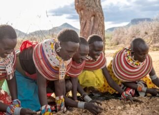 Two Kenyan Enterprises Selected for Pan-African Accelerator Backing Businesses That Grow by Protecting Nature