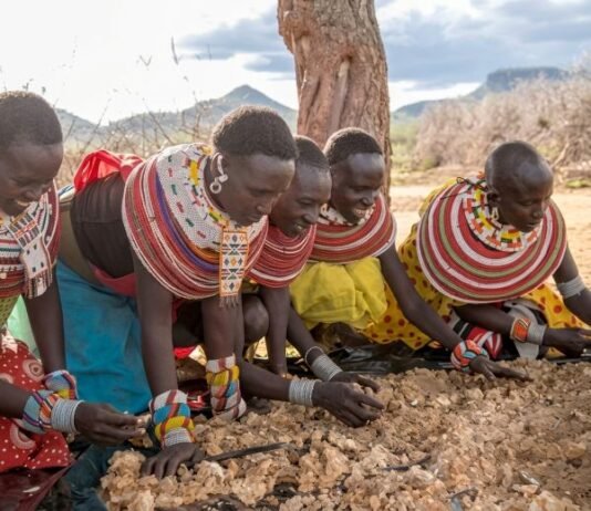Two Kenyan Enterprises Selected for Pan-African Accelerator Backing Businesses That Grow by Protecting Nature
