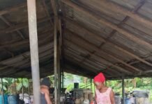 Ghanaian cottage palm oil mill seeks modernisation to expand opportunities for smallholder farmers