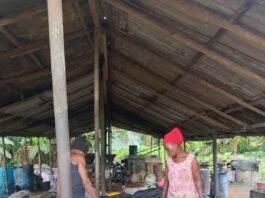 Ghanaian cottage palm oil mill seeks modernisation to expand opportunities for smallholder farmers