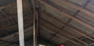 Ghanaian cottage palm oil mill seeks modernisation to expand opportunities for smallholder farmers