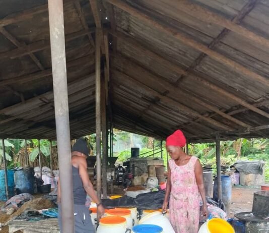 Ghanaian cottage palm oil mill seeks modernisation to expand opportunities for smallholder farmers