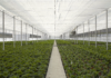Arrigoni at EIMA 2026: PRISMA® and ROBUXTA® thermo-reflective screens cut water lost to evaporation by up to 50%