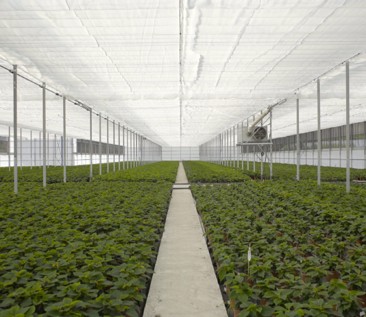 Arrigoni at EIMA 2026: PRISMA® and ROBUXTA® thermo-reflective screens cut water lost to evaporation by up to 50%