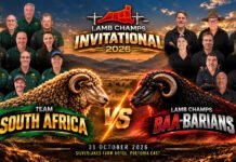 Barbarians Land in South Africa for Highly Anticipated Springbok Encounter