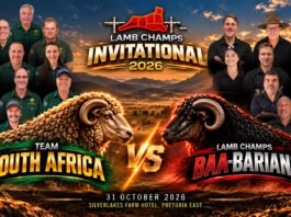 Barbarians Land in South Africa for Highly Anticipated Springbok Encounter