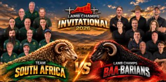 Barbarians Land in South Africa for Highly Anticipated Springbok Encounter