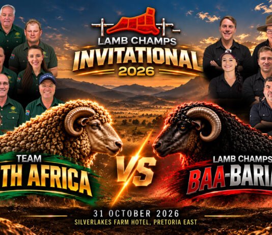 Barbarians Land in South Africa for Highly Anticipated Springbok Encounter