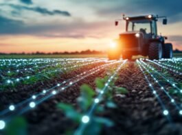 Datacentrix Agri Indaba highlights tech and collaboration as drivers of agricultural growth