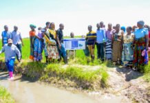 Tanzanian Producer of Fish Feed From Waste Selected By Pan-African Business Accelerator For Enterprises Which Protect Nature