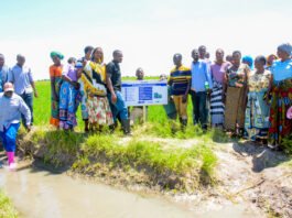 Tanzanian Producer of Fish Feed From Waste Selected By Pan-African Business Accelerator For Enterprises Which Protect Nature