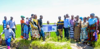 Tanzanian Producer of Fish Feed From Waste Selected By Pan-African Business Accelerator For Enterprises Which Protect Nature