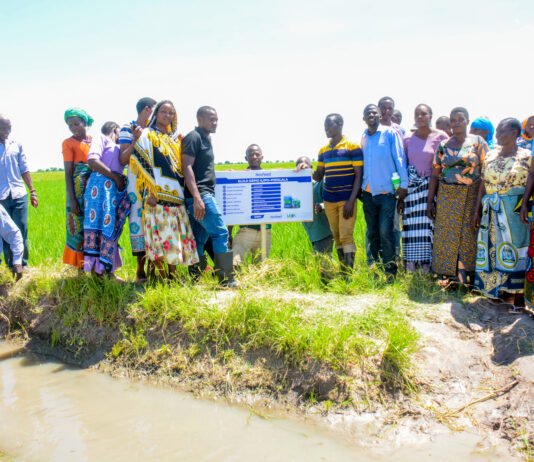 Tanzanian Producer of Fish Feed From Waste Selected By Pan-African Business Accelerator For Enterprises Which Protect Nature