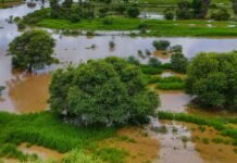 Drought warnings don’t eliminate flood risks: Why food producers need to prepare for the other extreme