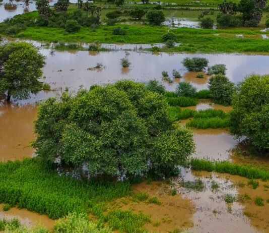 Drought warnings don’t eliminate flood risks: Why food producers need to prepare for the other extreme