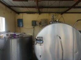Better Grazing, More Milk: Solidaridad Helps Namwala Farmers Increase Their Dairy Tanks