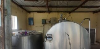Better Grazing, More Milk: Solidaridad Helps Namwala Farmers Increase Their Dairy Tanks