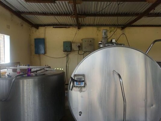 Better Grazing, More Milk: Solidaridad Helps Namwala Farmers Increase Their Dairy Tanks