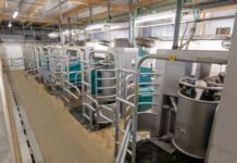 GEA expands batch milking portfolio with semi-subway installation concept