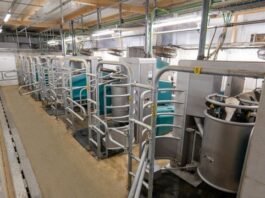 GEA expands batch milking portfolio with semi-subway installation concept