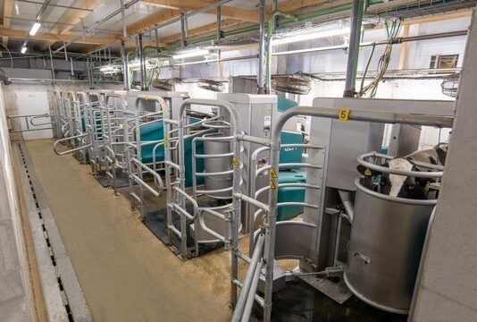 GEA expands batch milking portfolio with semi-subway installation concept