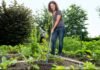 Rain-Damaged Lawn? 5 Steps to Bring It Back to Life