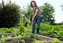 Rain-Damaged Lawn? 5 Steps to Bring It Back to Life
