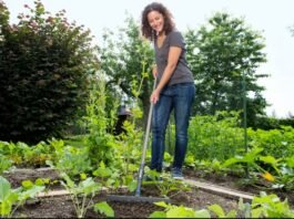 Rain-Damaged Lawn? 5 Steps to Bring It Back to Life
