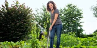 Rain-Damaged Lawn? 5 Steps to Bring It Back to Life