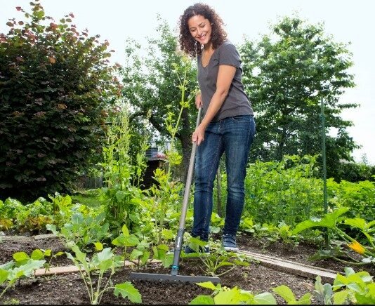 Rain-Damaged Lawn? 5 Steps to Bring It Back to Life