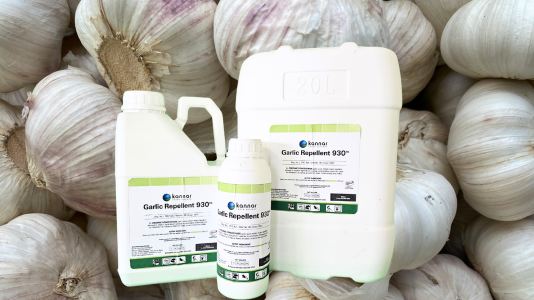 Garlic: nature’s own pest deterrent