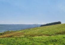 Sappi establishes new nature reserve to protect endangered Karkloof Blue Butterfly